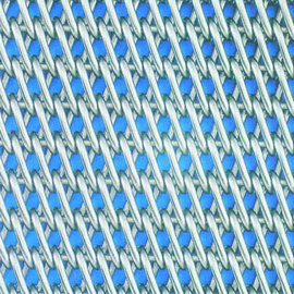 Single Rotary Mesh Belt
